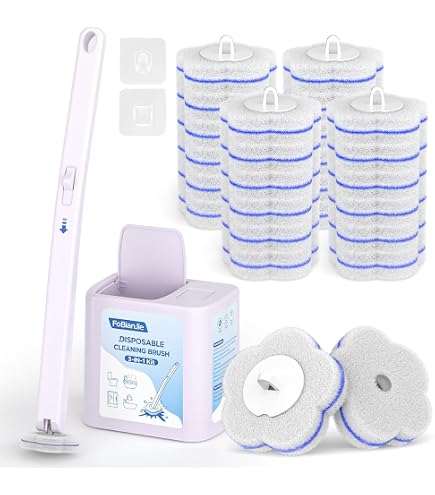 Accessori per il bagno con bacchetta per la pulizia della pietra pomice per WC con acqua