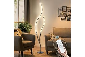 EIDISUNY Lampadaire sur Pied Salon, LED Dimmable Lamp salon, 26W Moderne Lampe Sur Pied avec Télécommande, 2080LM 3000K-6000K, lampadaire led pour Salon, Chambre à Coucher et Bureau-Noir, 145cm