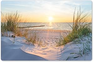 ‎KITCHENYEAH KitchenYeah© Platzsets Abwaschbare Placemats Set 6 45x30 cm Tischsets Platzdeckchen Platzset Tischset Esstisch Telleruntersetzer Waschbar Strand - Sonne - Düne - Gras - Sand - Horizont