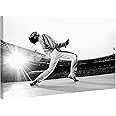 Afbeelding Freddie Mercury Queen Wembley 1986 - druk op canvas HD - klaar om op te hangen - wit en zwart - 70 x 45 cm - muzie