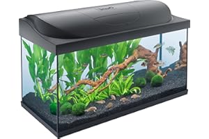 Tetra Starter Line LED 105L Acuario de inicio grande, bombilla LED con modo luz diurna/nocturna