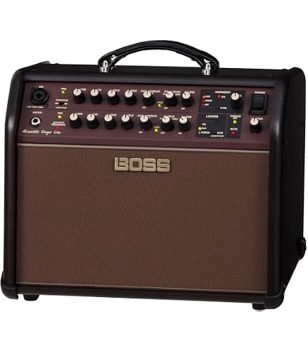 Amplificatore Portatile Epiphone MityPRO Per Chitarra Elettrica - Doppia Alimentazione (Batteria/AC)