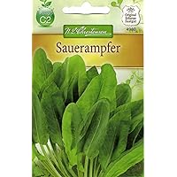 Chrestensen Sauerampfer