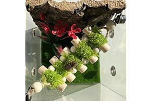 Heyshapeing Jumping Spider Rope Bridge, Handmade Solid Wood Climbing Suspension Bridge, Spider Jumping Platform, Decorative Accessory for Small Reptile Enclosures, Perfect for Jumping Spider Habitats