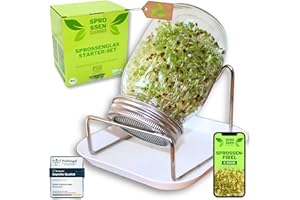 Green SEEDS Sprossenzauber® Sprossenglas 1er Set 500ml – Edelstahl-Deckel & Auffangschale – Sprossen selber ziehen – Keimglas für Brokkoli, Alfalfa, Kresse – Einsteiger-Set für frische Microgreens
