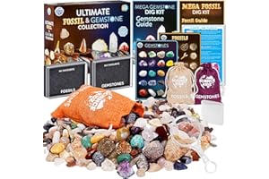 Science Kidz Ultimate Rock Collection Kit - Over 150 Crystals, Gemstones, Fossils, Minerals for Kids - Earth Science Gem Stones Kit - Geology Nature Gifts for Boys & Girls Plus Bonus Amazing TV Rock