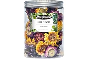Food Grade Dried Mixed Flowers | 50+ Flowers | 100% Natural Edible | Cocktail Toppers Flowers | For Garnishing Cocktails, Cake Decoration, Tea Infusions | 50 Grams | PET Jar | Drink Botanicals Ireland