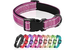 HEELE Collar Perro, Collar Nylon Reflectante Neopreno Forrado Ajustable para Perro Pequeño, Rojo Magenta, XS