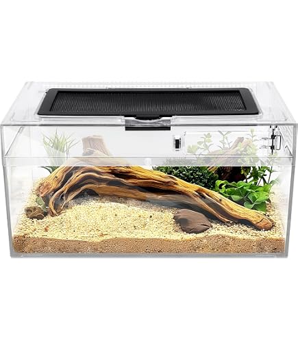 10 Stück Kunststoff-Reptilienboxen, 17,8 X 10,9 X 10,9 Cm, Transparent, Mit Deckel, Für Kleine Tiere