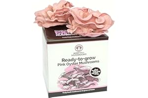 Merryhill Mushrooms - Pink Oyster Mushroom Growing Kit | Easy to Grow, Perfect Indoor Gardening Gift, Large Yield and Harvest