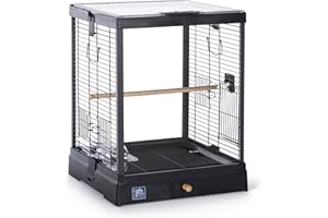 Prevue Pet Products Clear View Glass Bird Cage Crystal Palace for Small Birds - Black Frame