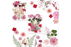 Barlone 40 Stück Natürliche Gepresste Blumen zum Basteln, DIY Getrocknete Blüten für Seife, Getrocknete Blumen Deko für Kunstharz, DIY-Kunsthandwerk, Scrapbooking, Schmuck, Kerzen, Seifenherstellung
