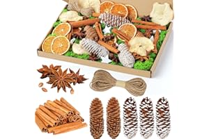 FOX·BUNNY 56 Stück Weihnachtskranz Deko, Adventskranz Zubehör, Getrocknete Orangenscheiben, Apfelscheiben, Zimtstangen, Sternanis, Pentagramm, Tannenzapfen, Moos Für Adventskranz Deko Set