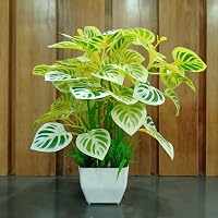 Buy VIOLET | Artificial Bonsai Plant with White Plastic Pot/Faux ...