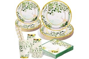 AOLLEN Platos y Vasos para Cumpleaños Verde, 125 Piezas Vajilla de Fiesta,Vajilla Cumpleaños Infantil, Vajilla Desechable, Servilletas de Papel, Pajitas, Platos y Vasos para Fiesta,25 Invitados