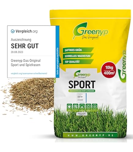 Griglia Per Caminetto In Ghisa ScarMaxx 16x28 Cm - Robustissima Con Nervature, Per Legna E Carbone - Foto 11