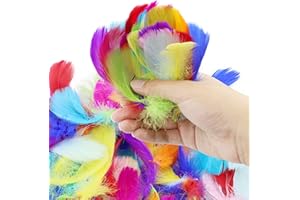 DNDGDLUA Lot de 500 Plumes ColoréEs, Plumes Artisanales, Plumes Naturelles, Plumes Artisanales, Plumes Moelleuses De Couleurs MéLangéEs pour Travaux Manuels, FêTes, DéCorations, Chapeaux Ou Cheveux.