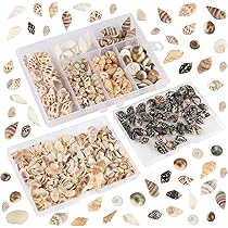 WINOMO Conchiglie Di Mare Conchiglie Decorative Piccole Bianca