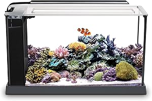 Fluval Kit d'aquarium Marin Evo V 10528A1, 5 gallons
