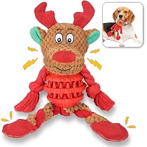 Karotten-Hundespielzeug Aus Baumwollseil - 2 Stück, 21,5 Cm, Für Kleine & Mittlere Hunde