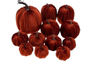 Funzhan 12Pcs Sortierte künstliche Braun Kürbis Set Dekor Samt Schaum Kürbis Erntedank Halloween Herbst Ernte Zuhause Küche Tabelle Party Kürbis Dekoration
