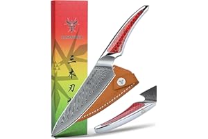 SANMUZUO Couteau utilitaire 13 CM, couteau de cuisine japonais en acier Damas VG-10, couteau à fruits ultra tranchant avec manche pleine soie en résine Rouge, série LA-S9