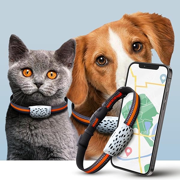 Tabcat Cat Tracker Nz Tractive GPS Girafus Cat Tracker RF Finder