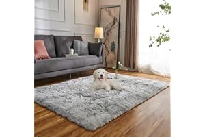 Evitany Rugs Living Room, Fluffy Area Rugs, Non Shedding Anti Slip Carpet, Washable Shaggy Rugs for Bedroom,High Pile Area Rugs for Dining Room,Office,Lounge (Light Grey,80x120 cm)