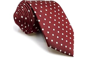 S&W SHLAX&WING Shlax&Wing Cravate de mariage pour homme Motif pois rouges Marron 146 cm
