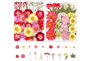 ROMCADE 66Pcs Dried Pressed Flowers Multicoloured Real Dried Natural Flowers and Press Leaves for DIY Face Jewelry Home decoration Candle Nail Pendant Card Scrapbook Art Craft Floral Decors (Red)