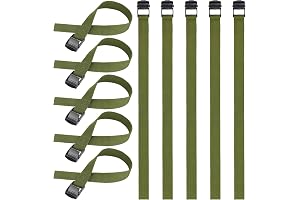 65cm 10er Pack Grün