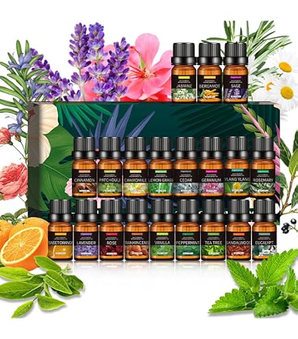 doTERRA Family Essentials Kit by doTERRA : Amazon.ae: Health