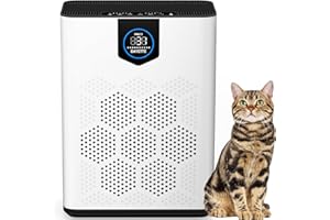 DAYETTE Luftreiniger für Allergiker, mit 2 × H14 HEPA Filtern & Waschbarem Vorfilter, CADR 350 m³/h, Große Räume bis 120 m², 6-stufiges Filtersystem, gegen Pollen, Tierhaare, Rauch & Raucherzimmer