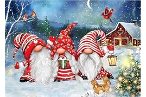 DPHERO Bricolage Gnomes Diamond Painting Hiver, 5D DIY Noël Diamant Painting Kit Complet, Peinture Diamant Artisanat Strass Painting pour Adultes Enfants, Décoration Intérieur 30x40cm