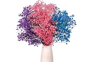 Gipizi Gypsophila Seca Rosa Azul Violeta, 43cm Gypsophila Seca Natural Flores de 3000 Botones, Flores Preservadas para para Boda, Decoración del Hogar, Bricolaje y Fiesta