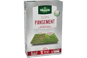 Vilmorin Gazon Soins Pansement Boite 10X25 g, Vert