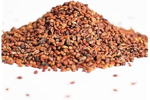 ‎VITIS Vitis Vital Premium Traubenkerne lose | Packung 5kg | idealer Füllstoff für Wärmekissen und Kühlkissen | Füllmaterial für Körnerkissen | lange Temperaturspeicherung | 100% Naturprodukt