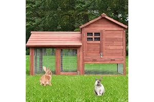 zooprinz Perfekter Kleintierstall - aus robustem massiven Vollholz - optimal für draußen - einfach zu reinigen Dank der Kotschublade - Hasenstall mit ungiftiger Farbe gestrichen (braun)