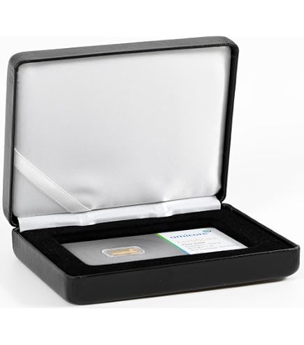 Leuchtturm Etui NOBILE für 1x geprägte Goldbarren in Blisterverpackung im Querformat, schwarz Spielzeug