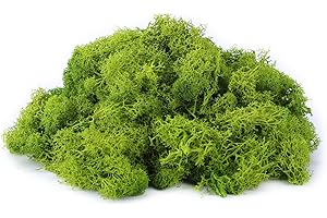 IHKFILAN Islandmoos Zum Basteln Moos Pflanzen Deko Mooswand Lebend Konserviertes Haltbares Natur Moos Dekomoos für Die Zu Ostern,Modellbau (Zitronengrün, 100g)