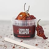SPICENTICE | Carolina Reaper Chilli Pot | Worlds Hottest Chilli