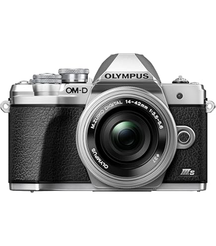 【ジャンク】OLYMPUS OM-D 初代　E-M10 今でも充分使える初代E-M10』 オリンパス OLYMPUS OM-D E-M10