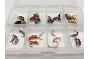 Lot de 24 nymphes tchèques pour Pêche à la Mouche Fil en cuivre Taille 10-14#321
