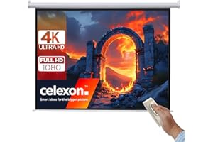 celexon Basic Écran de Projection motorisé 110" | 200x200 cm 1:1 | Écran Full-HD 4K pour Le Home Cinéma ou présentations de Bureau | adapté au Montage Plafond ou au Mur | télécommande Incluse