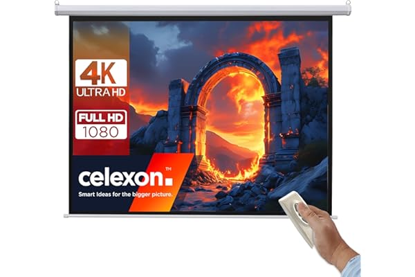 celexon Basic Écran de Projection motorisé 110" | 200x200 cm 1:1 | Écran Full-HD 4K pour Le Home Cinéma ou présentations de Bureau | adapté au Montage Plafond ou au Mur | télécommande Incluse