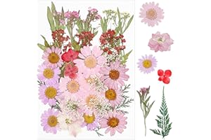 Cayway 36 szt. Suszone kwiaty na żywicę, naturalne prasowane różowe suszone kwiaty prasowane suszone kwiaty naturalne suszone kwiaty do świec DIY biżuteria żywica udział