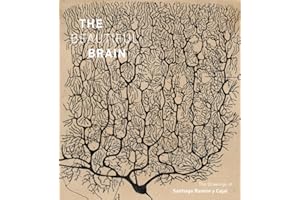 The Beautiful Brain: The Drawings of Santiago Ramon y Cajal