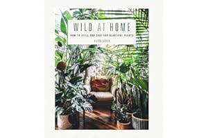 Wild at Home: How to style and care for beautiful plants