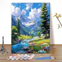 MEIYUDA Peinture par numéros adultes avec cadre paysage, bricolage bibliothèque kit de peinture à l'huile numérique sur toile, œuvre d'art pour la décoration de la maison cadeau 30 x 40 cm