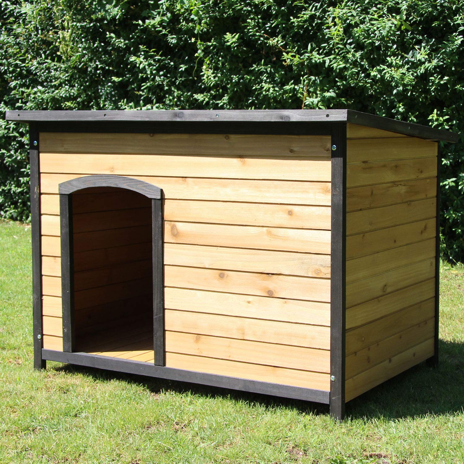 ZOO-XXL-Niche-Eddy-pour-Chien-en-Bois-Massif-de-Haute-qualit-Taille-XL